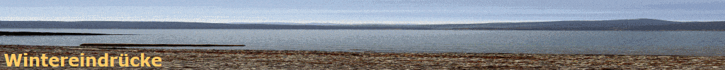 Wintereindr�cke